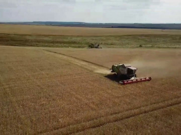 Уборка яровой пшеницы 2019. АгроТрансПорт