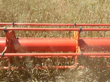 Уборка озимой пшеницы (медленное видео)