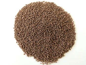 AIR RICE WITH COCOA WHOLESALE