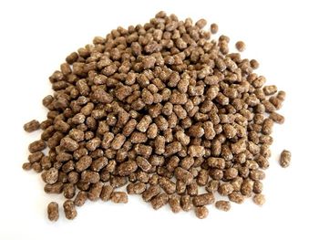 AIR WHEAT WITH COCOA WHOLESALE