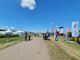 День поля в Татарстане 2020